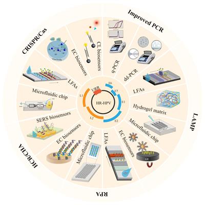 Portable, and ultrasensitive HR-HPV tests based on nucleic acid biosensors